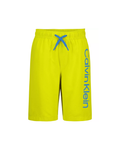 Calvin Klein - Big Boys Swim Trunks